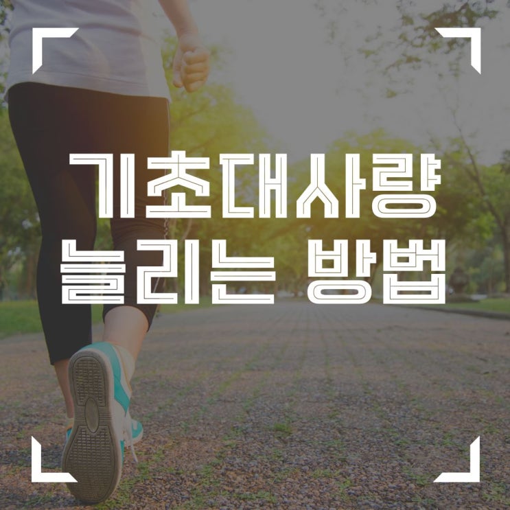  기초대사량을 늘려 다이어트에 성공하는 방법