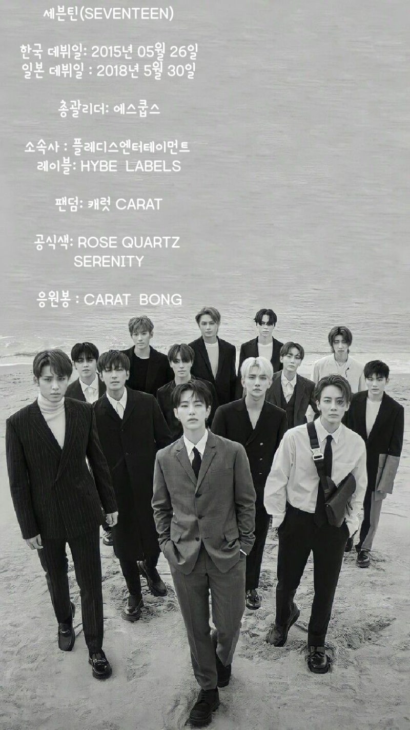 [세븐틴 소개하기]