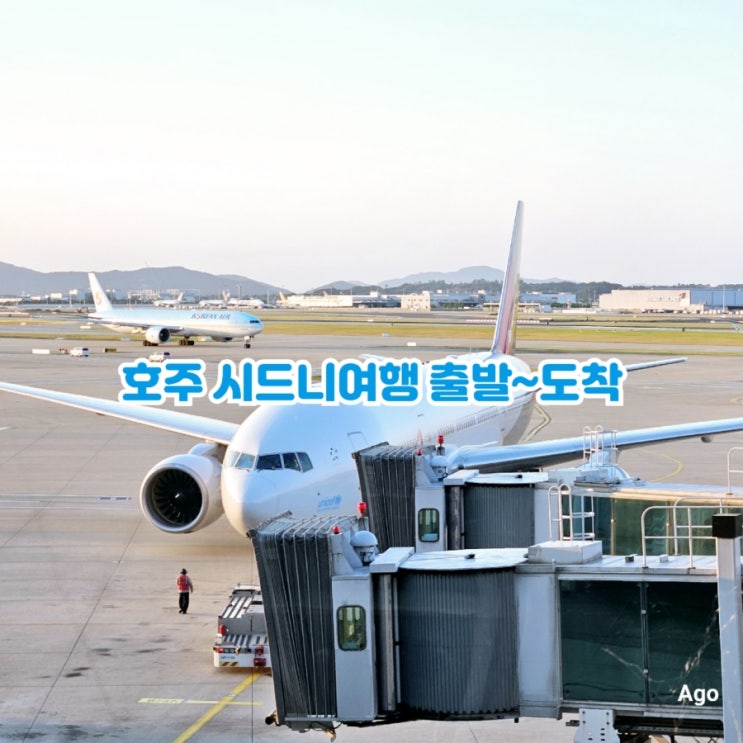  호주 시드니 여행 출발부터 도착까지