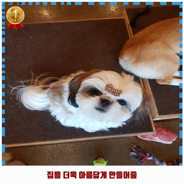 사진 9