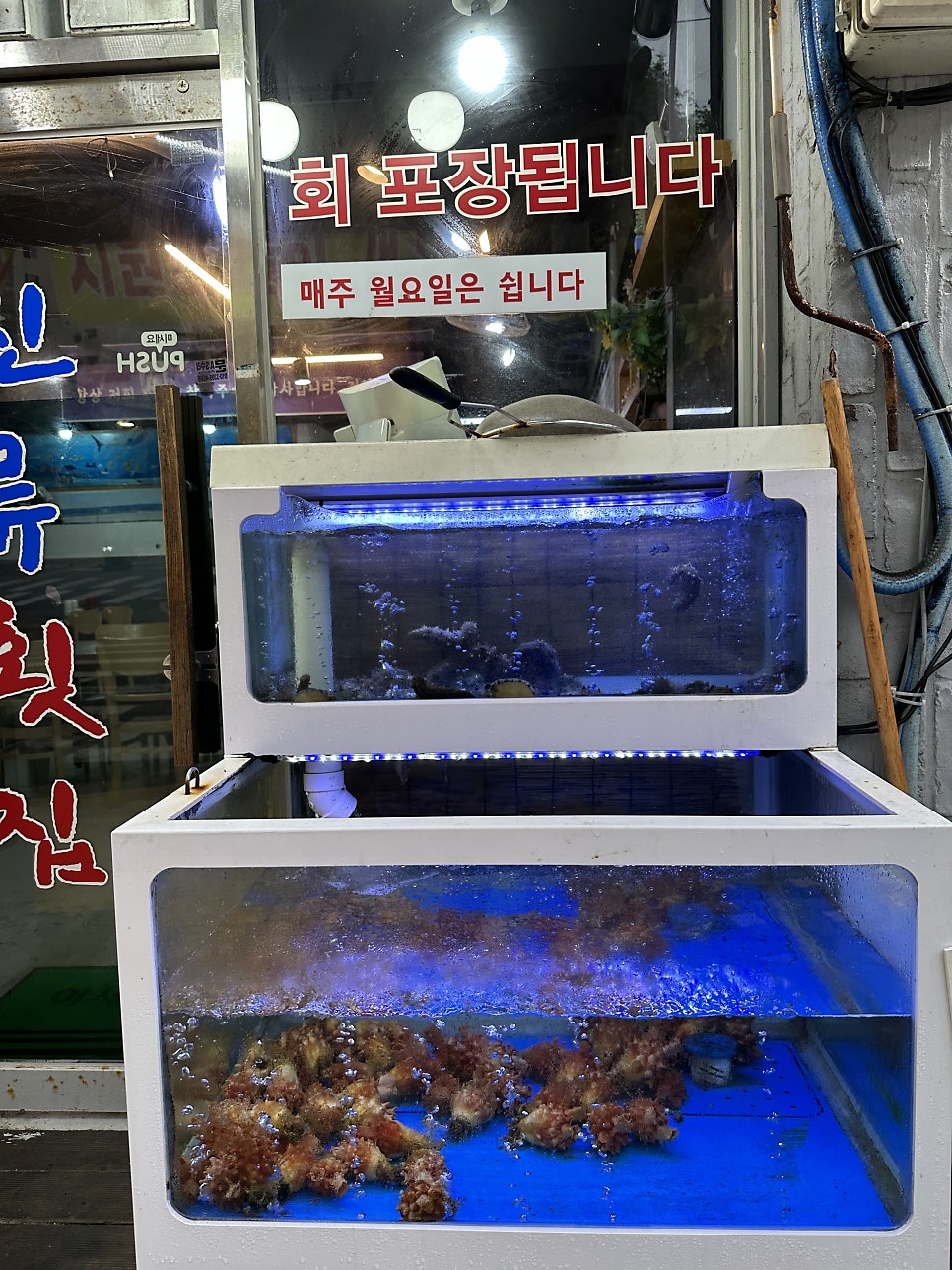 신류횟집 사진 3