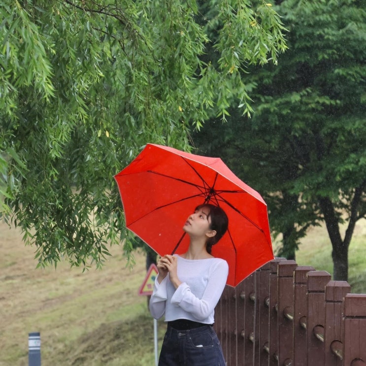  6월 안동 여행 : 안동은 럭키