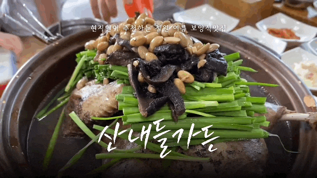  철원 현지인 맛집 산내들가든 | 여름철 보양식 능이오리백숙 어때요?