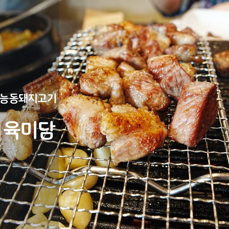  동탄 맛집 능동 고기집 육미담 숙성 삼겹살 구이