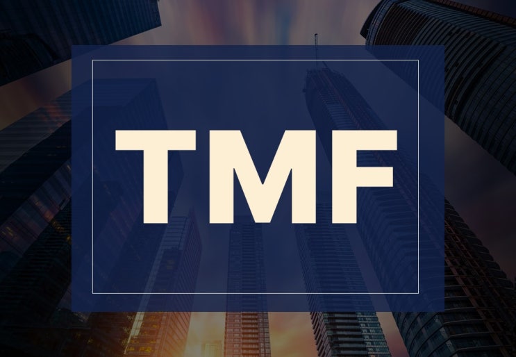  TMFETF 뜻 한방에 알아보기.(ft. 3배 레버리지, 미국 장기채)