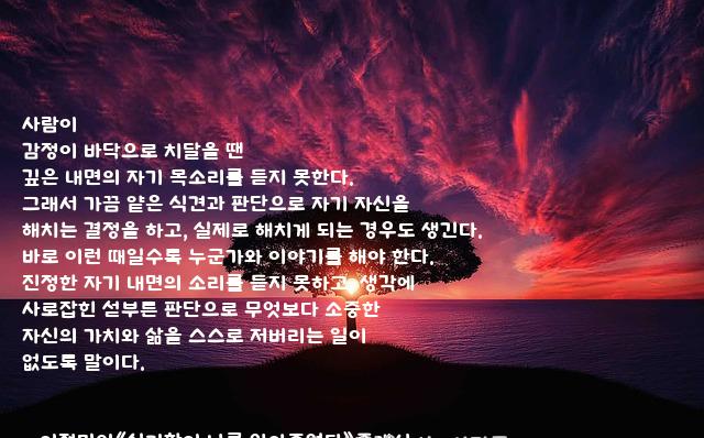.......자기 .......자기