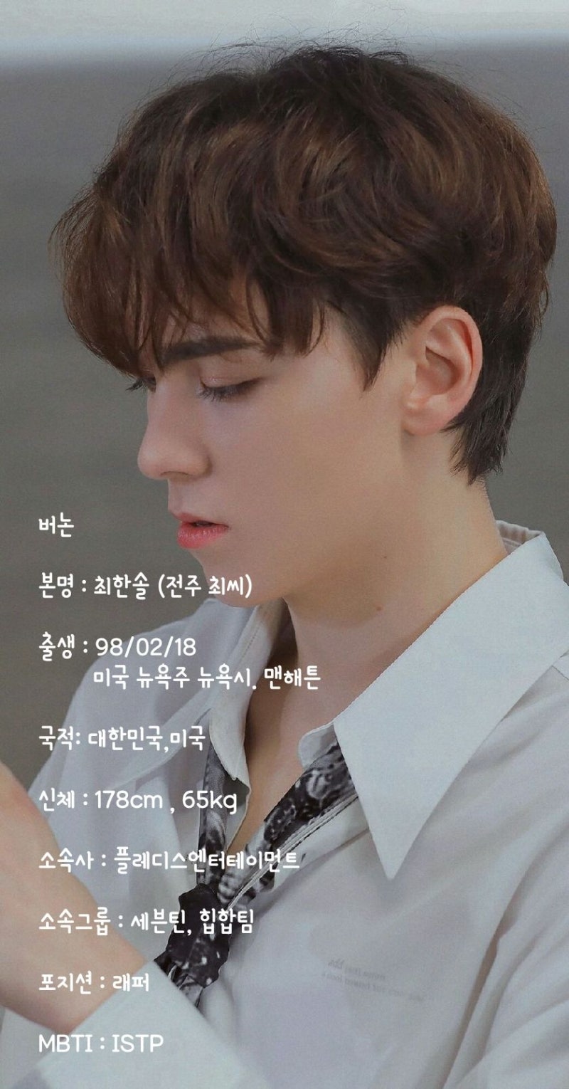 [SEVENTEEN] Vernon