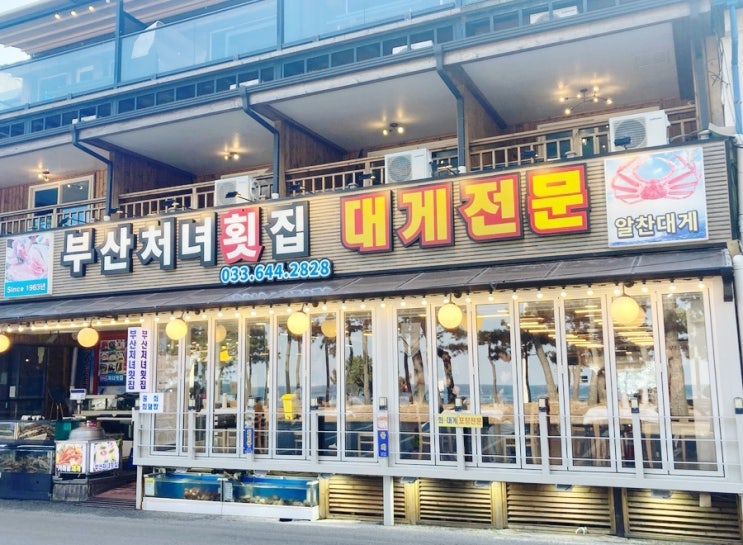  경포대 맛집 경포대 부산 처녀 횟집