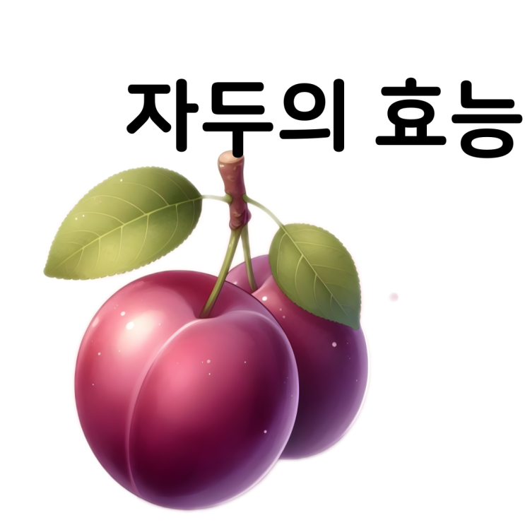  자두 효능 건강을 위한 대표적인 항산화 과일