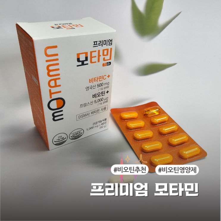 비오틴추천 프리미엄 모타민 비타민과 유산균까지 한번에
