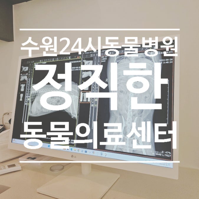  수원 24시 인계동동물병원 정직한동물의료센터 진료비, 주차, 대기시간, 건강검진 후기