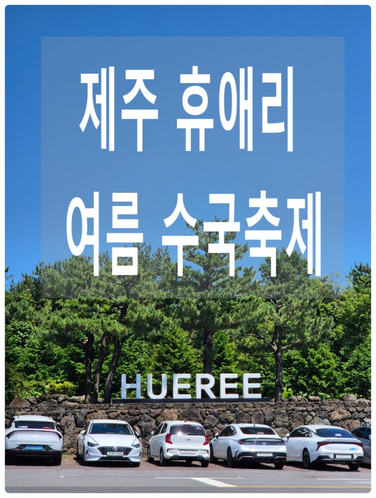  제주 휴애리 :)6월 휴애리 여름 수국 축제 가볼 만한 곳 추천