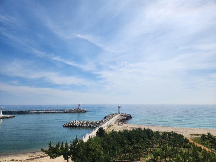  여름 3박4일 강릉 여행 - 1일차: 엄지네 포장마차 꼬막비빔밥, 자연산수산물직판장 모듬회, 페리아902펜션