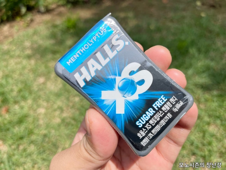  최고의 상쾌함 호올스 XS 멘토립터스 멘톨향 캔디 15g, 12개