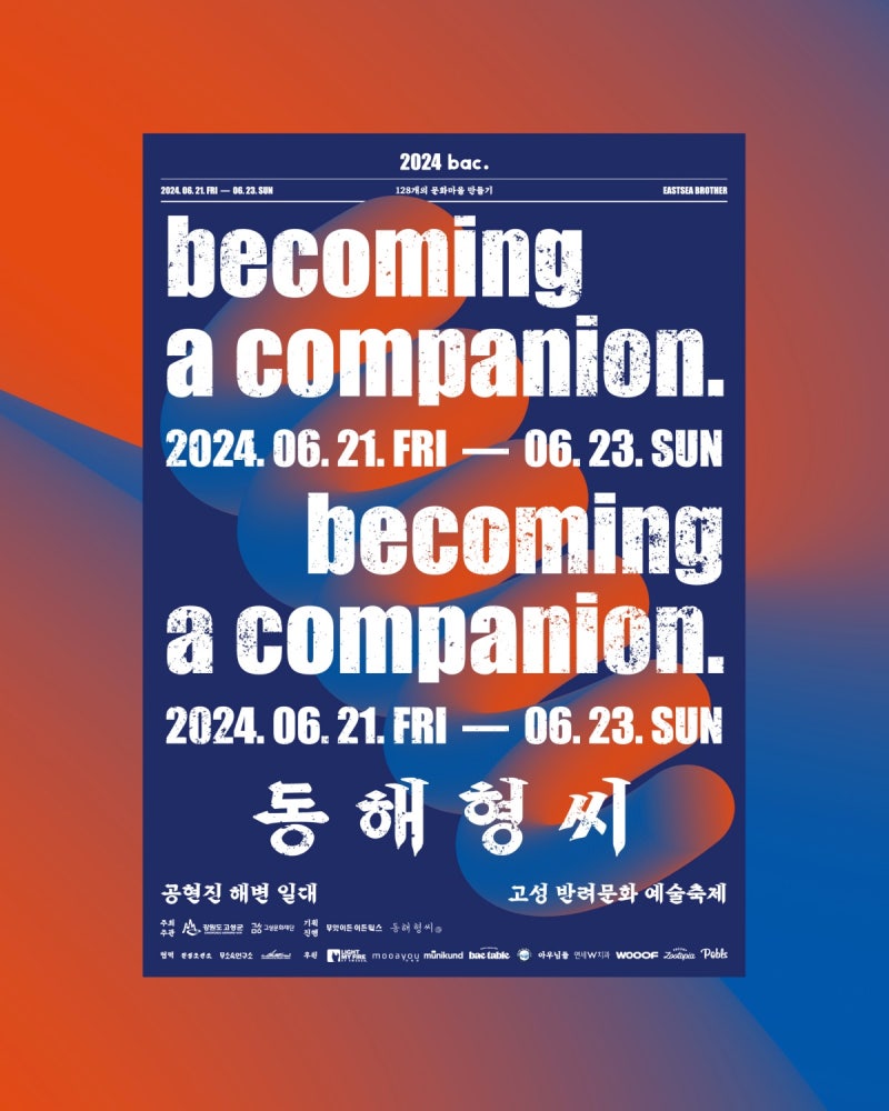 사진 5