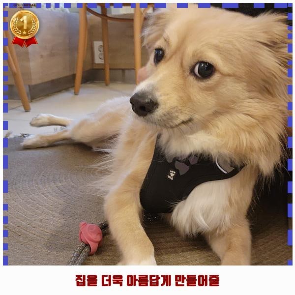 사진 5