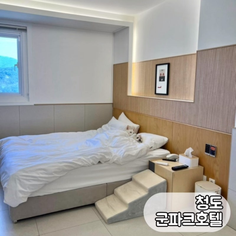 사진 4