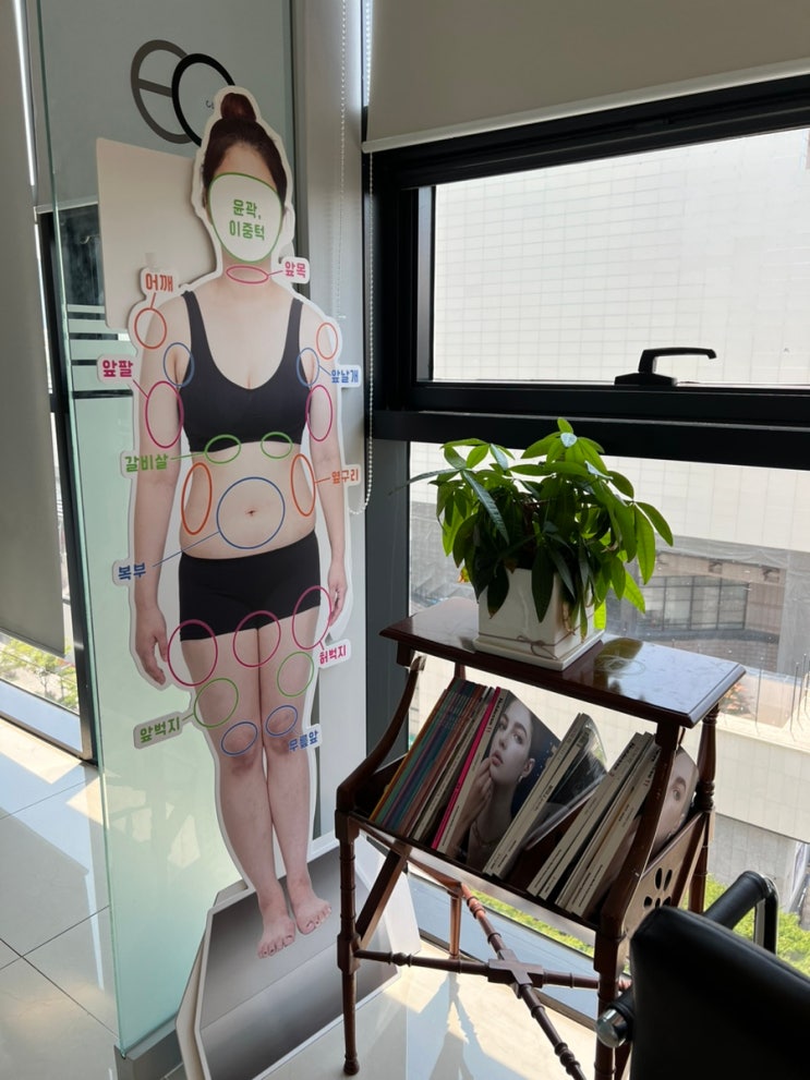  등살빼기 뒤태다이어트 하러 강남 이오팻주사 받고온 후기