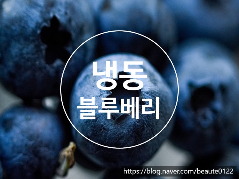 냉동 블루베리 효능 과채가공품 vs 농산품 블루베리 먹는법