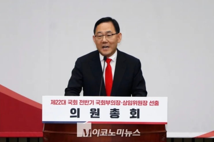 「M포토」 국민의힘 <b>국회부의장</b> 후보에 '<b>주호영</b>' 선출