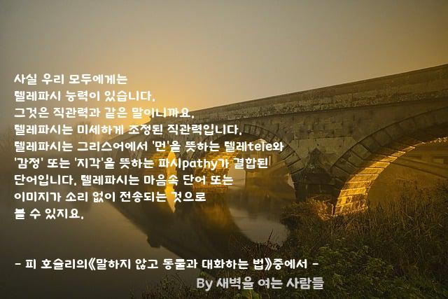 .......사실 .......사실