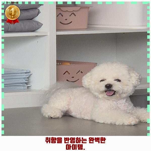 사진 3