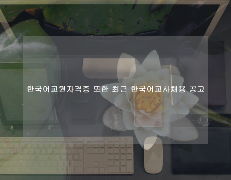 한국어교원자격증 또한 최근 한국어교사채용 공고 한국어교원자격증 또한 최근 한국어교사채용 공고