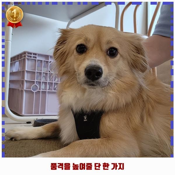 사진 6