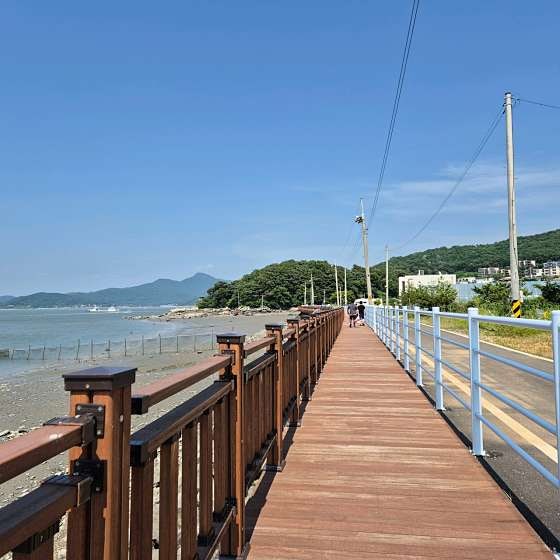 펜션이상한앨리스 사진 5
