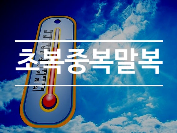  초복 중복 말복은 언제? 놓치지 않는 복날 할인행사 활용법