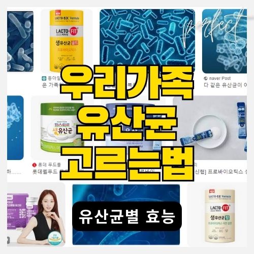  유산균주별 효능과 어른, 아이, 여성용 유산균 고를 때 주의사항 - 인기 유산균 TOP 10