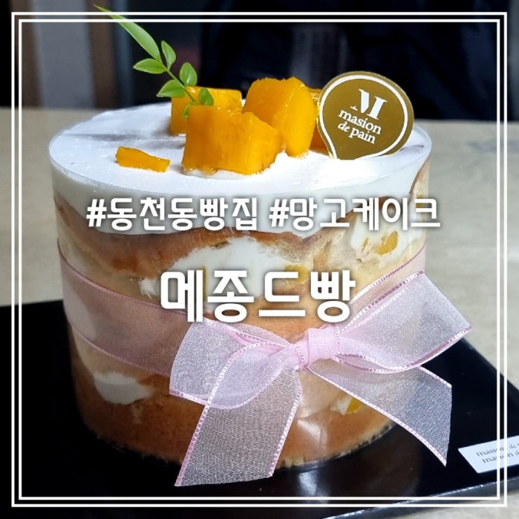  대구 동천동 빵집] 메종드빵 || 망고케이크 맛집