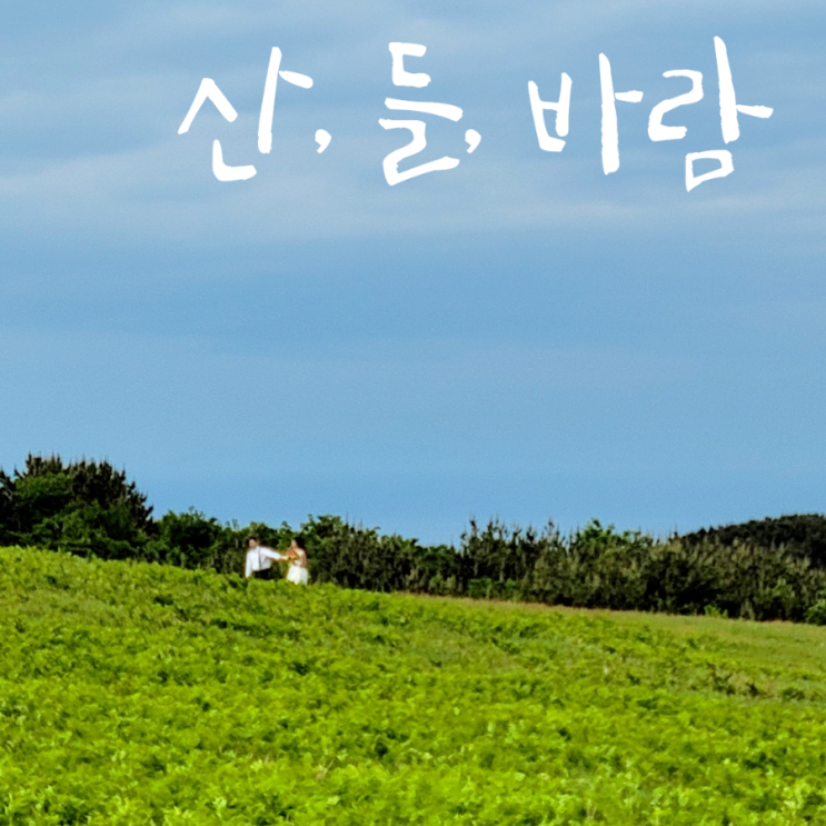  제주 동쪽 여행 봉개동 들판에서