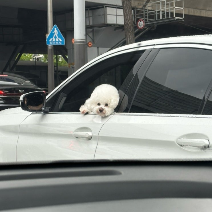  2024.06.15 강릉