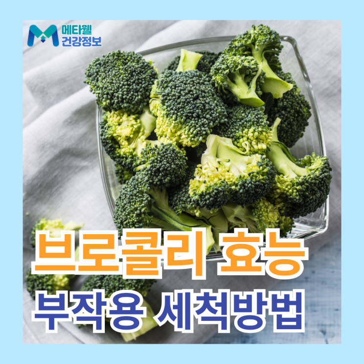  슈퍼푸드 브로콜리 의외의 효능 5가지, 올바른 세척법, 부작용?