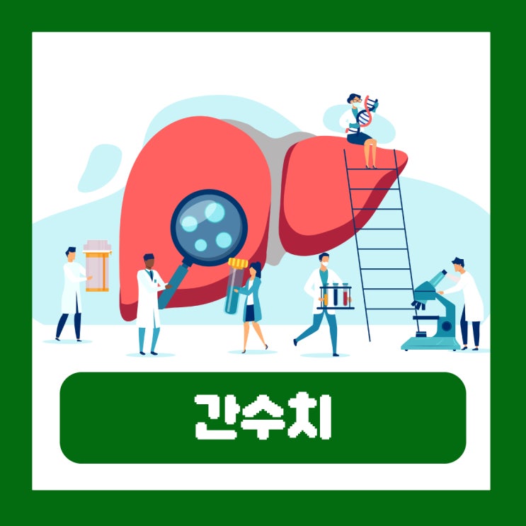  간수치 검사 정상범위 AST ALT 감마GTP 뜻 높은이유 낮추는법