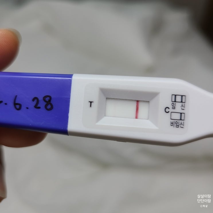  스페셜 포토 덤프(photodump) : 단단이의 탄생 비화(임신과 출산 이야기) 첫번째 '임신발견 그리고 입덧시작'