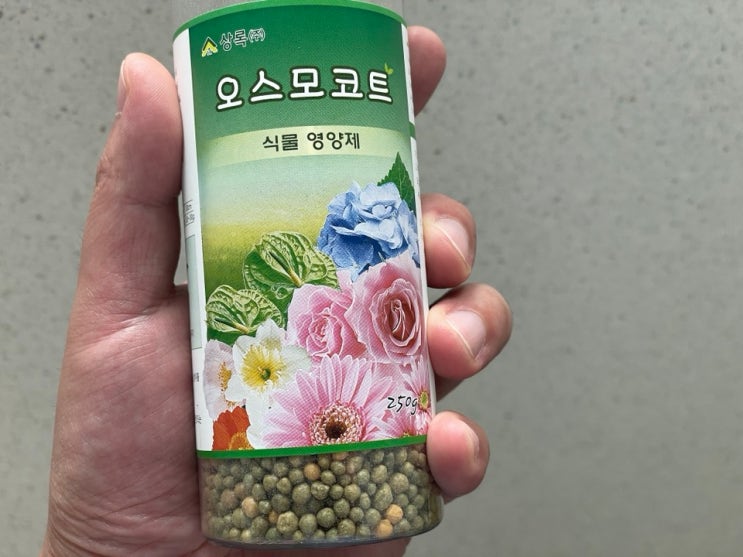  성장이 멈춘 식물에는 오스모코트 비료를 사용해보세요.