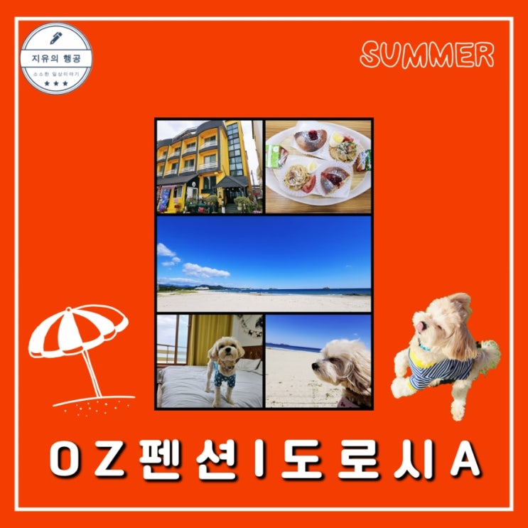  바다뷰 애견동반 OZ펜션 도로시A | 조식주는 펜션 내돈내산 솔직후기