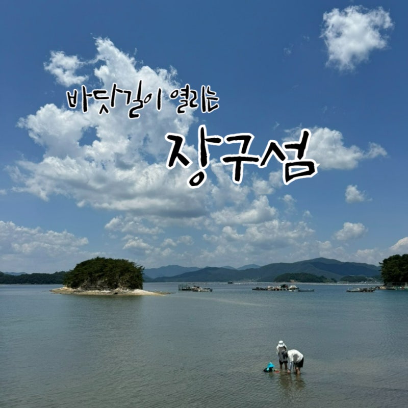 대구 근교 창원 마산 장구선착장 장구섬 해루질 갯벌체험