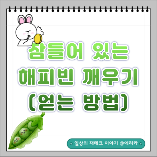  잠들어 있는 해피빈 콩을 기부하세요.(해피빈 얻는 방법)