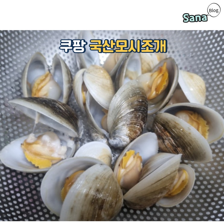 쿠팡 국산모시조개로 다이어트 미역국 끓이기