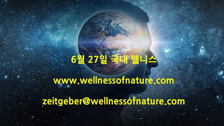  2024년 6월 27일 국내 웰니스 소식