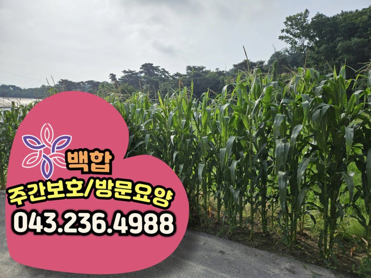  청주 방문요양 : 자택에서 받는 돌봄, 이용조건, 서비스 내용 알아보기