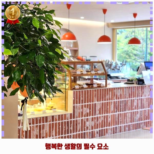 사진 2