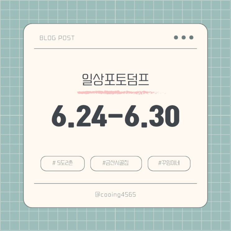 5도2촌 일상포토덤프 텃밭일지와 촌캉스