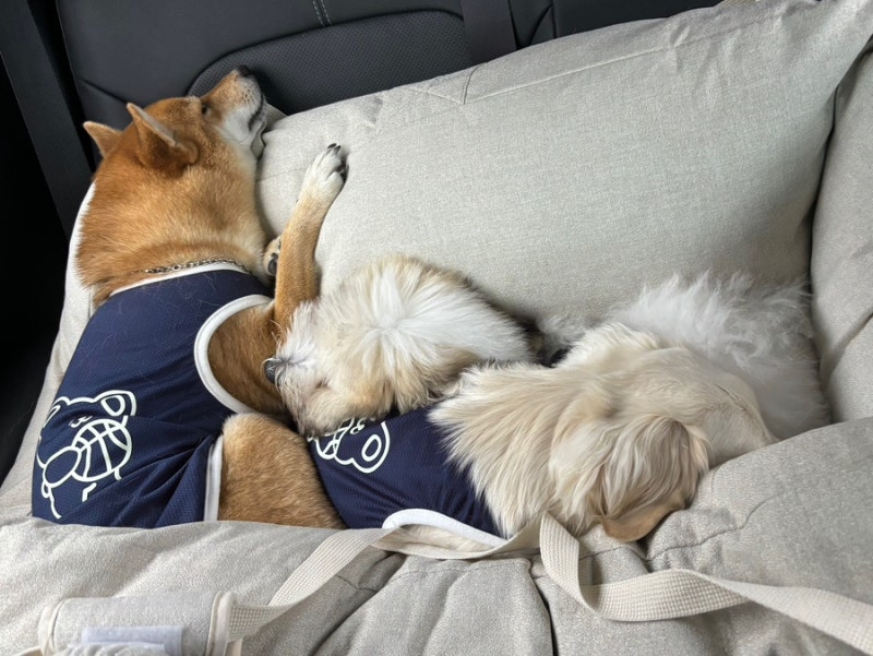 사진 3