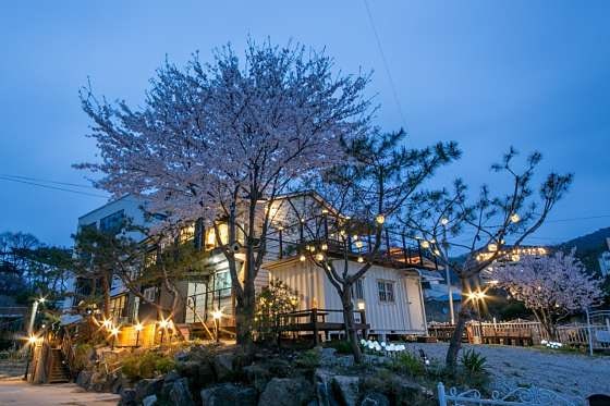 펜션이상한앨리스 사진 2