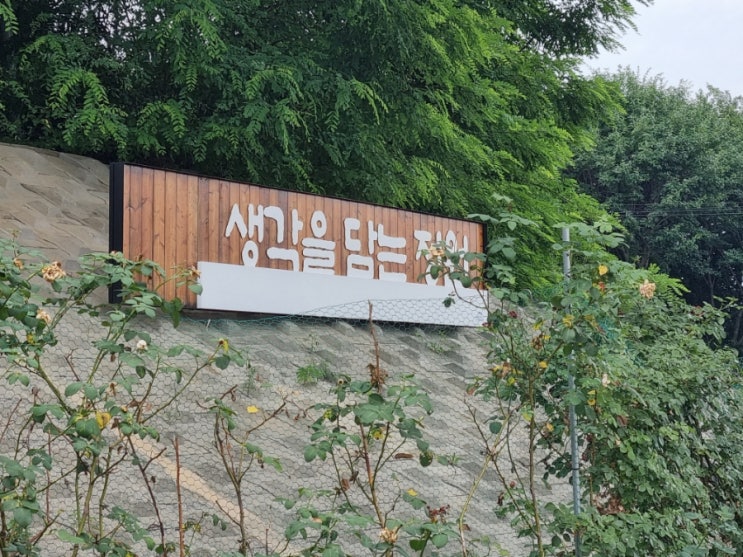  대구 수성구 아이와 가볼만한곳 - 생각을 담는 정원