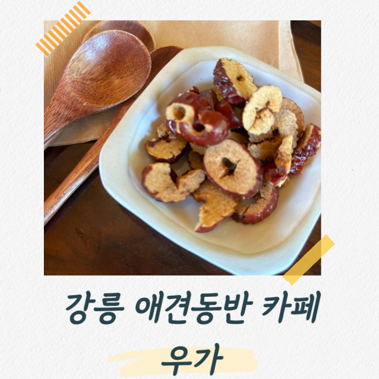  강릉 애견동반 카페, 힐링될 정도로 예쁜 카페 우가